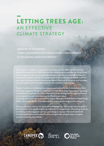 Letting trees age: an effective climate strategy