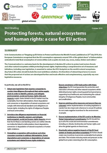 Protecting forests, natural ecosystems and human rights: a case for EU action