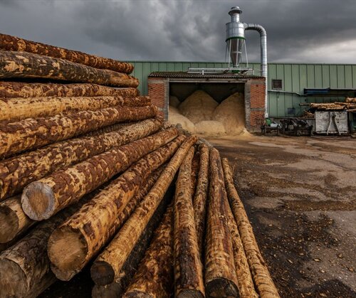 European wood pellet markets shrunk in 2022, industrial demand remains low in 2023