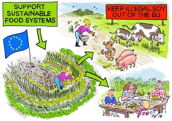 Protein Report: An opportunity that should have been seized