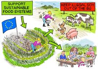 Protein Report: An opportunity that should have been seized