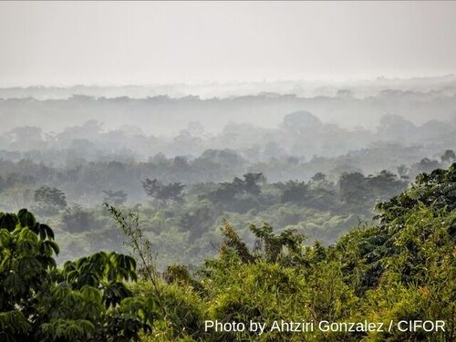Here’s how CAFI’s $65 million can help save Congo’s forests