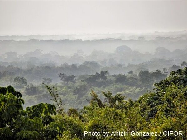 Here’s how CAFI’s $65 million can help save Congo’s forests