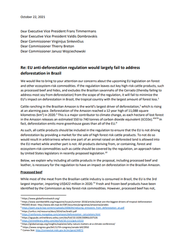 NGOs are concerned that EU anti-deforestation regulation would largely fail to address deforestation in Brazil