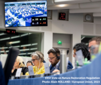 EU’s degraded nature set to lose out as Nature Restoration Law becomes a pawn in a political game