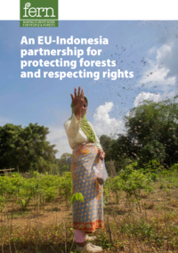 An EU-Indonesia partnership for protecting forests and respecting rights
