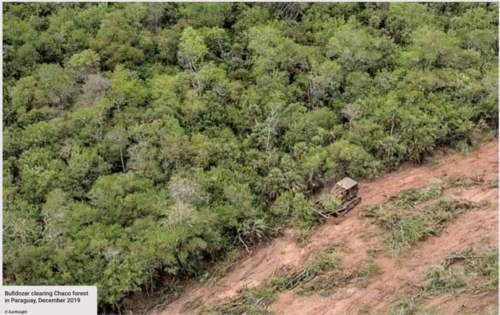 Luxury car brands are helping fuel the destruction of precious South American forests