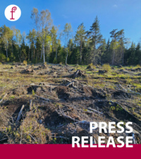 NGOs reveal forest destruction caused by EU Nature Credits pilot