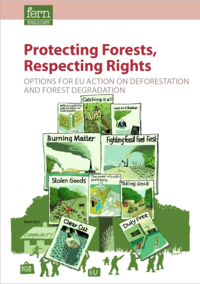 Report - Protecting Forests, Respecting Rights