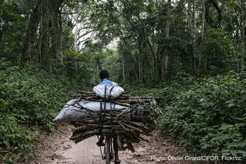 Tribune: Putting Indigenous Peoples at the heart of biodiversity conservation policies