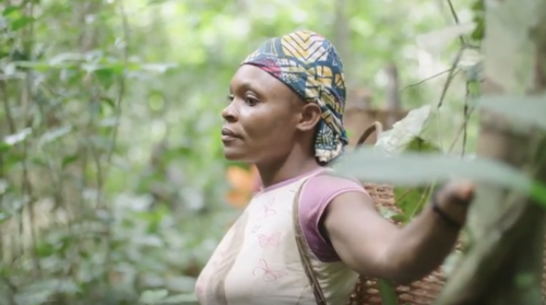 Community forests in the Congo Basin: What is the EUs role?