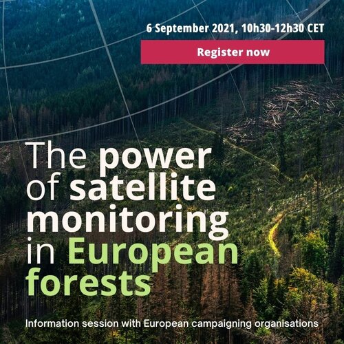 The power of satellite monitoring in European forests