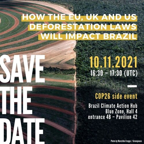 How the EU, UK and US deforestation laws will impact Brazil