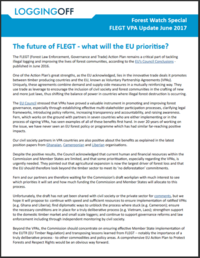 ForestWatch VPA Update June 2017: The future of FLEGT - what will the EU prioritise?