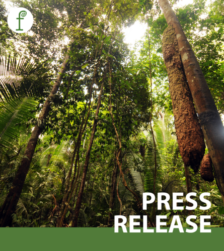 EU landmark deforestation law is off the hook