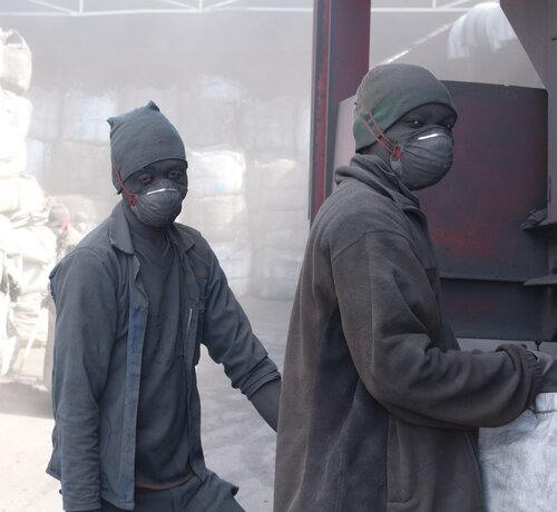 Forests, workers' rights sacrificed for Namibia's 'black gold'