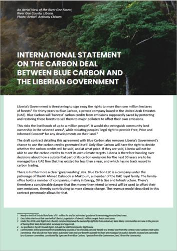International statement on the carbon deal between Blue Carbon and the Liberian government