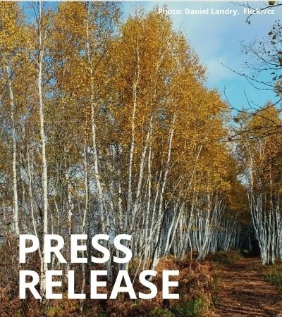 Logging surges in Estonia’s protected habitats, study reveals