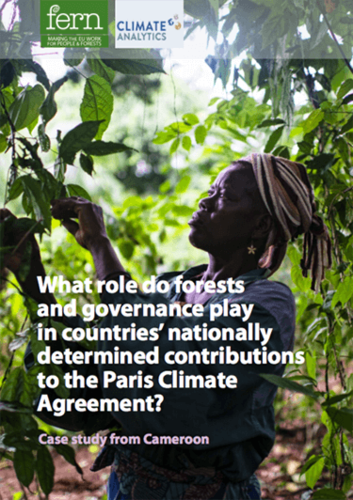What role do forests and governance play in countries’ nationally determined contributions to the Paris Climate Agreement?