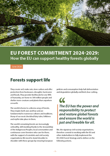 EU Forest Commitment 2024-2029: How the EU can support healthy forests globally