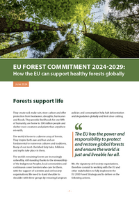 EU Forest Commitment 2024-2029: How the EU can support healthy forests globally