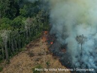 The proposed Mercosur deal throws fuel on the Amazon fires