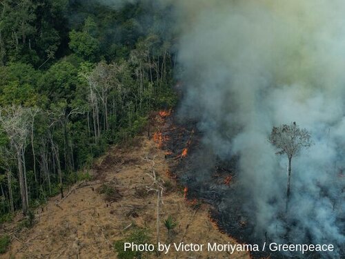 The proposed Mercosur deal throws fuel on the Amazon fires