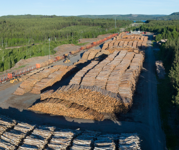 Draft carbon removals rules: will the EU’s climate action be ruined by its bioenergy policy?