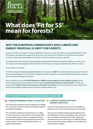 What does ‘Fit for 55’ mean for forests?