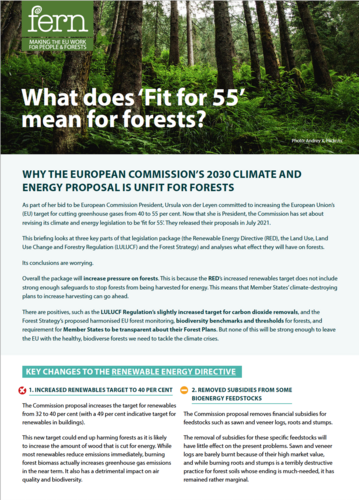 What does ‘Fit for 55’ mean for forests?