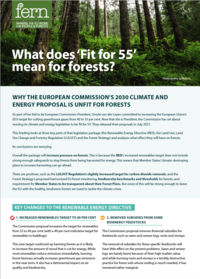 What does ‘Fit for 55’ mean for forests?