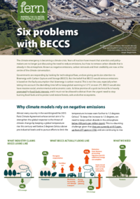 Six_problems_with_BECCS_-_2022.pdf