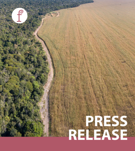 EU-Mercosur trade agreement will perpetuate a forest destructive model