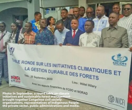 Deforestation Regulation: FLEGT’s achievements must be saved at all costs