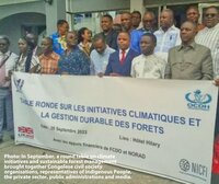 Deforestation Regulation: FLEGT’s achievements must be saved at all costs