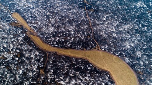 The EU must act on new evidence of soy’s destructive role in the tropics