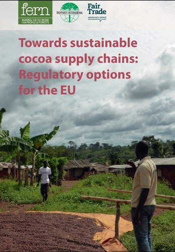 Towards sustainable cocoa supply chains: Regulatory options for the EU