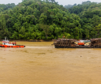 EUDR could throw a welcome lifeline to a high-risk Malaysian state