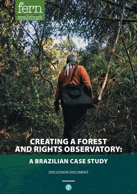 Creating a forest and rights observatory: a Brazilian case study