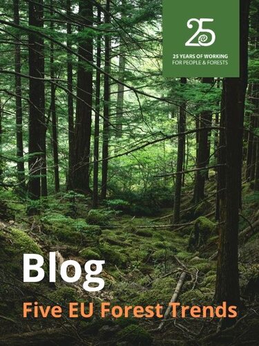 Five EU forest trends to watch out for in 2020