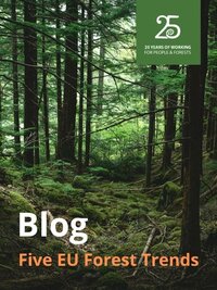 Five EU forest trends to watch out for in 2020