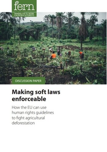 Making soft laws enforceable: How the EU can use human rights guidelines to fight agricultural deforestation