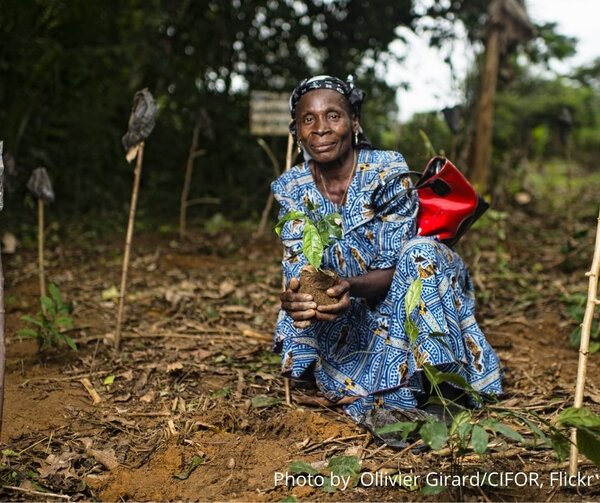 Forest restoration: why offsetting could derail the path to recovery and well-being