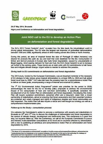 Joint NGO call to the EU to develop an Action Plan on deforestation and forest degradation