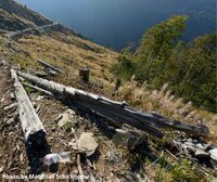 EU enforcement is overdue: Destruction of Romania’s Natura 2000 primary and old-growth forests continues