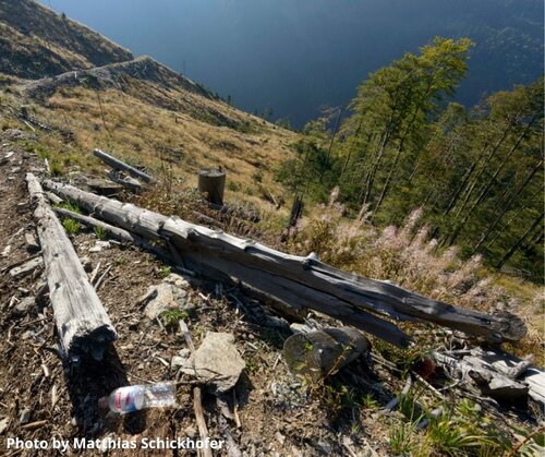 EU enforcement is overdue: Destruction of Romania’s Natura 2000 primary and old-growth forests continues