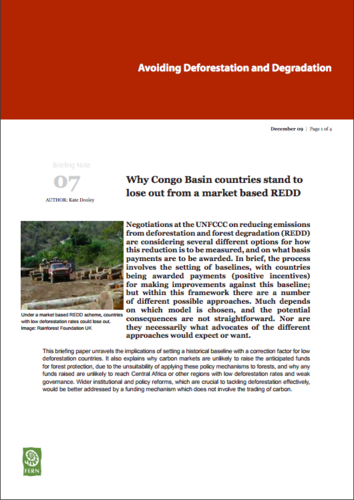 Why Congo Basin countries stand to lose out from a market based REDD