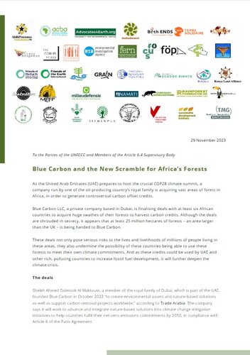 Blue Carbon and the New Scramble for Africa’s Forests