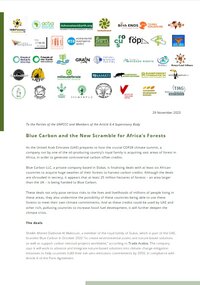 Blue Carbon and the New Scramble for Africa’s Forests