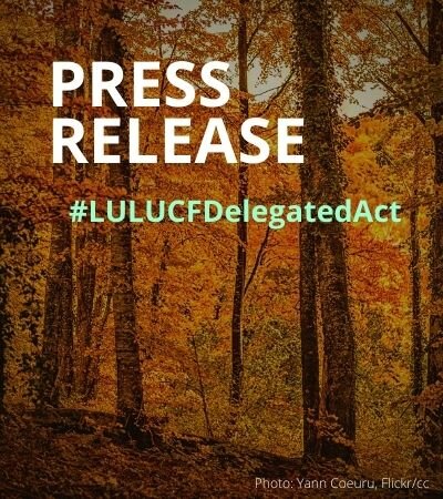 EU legislation reveals steep decline in carbon stored in European forests
